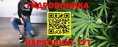 скорость Новодвинск