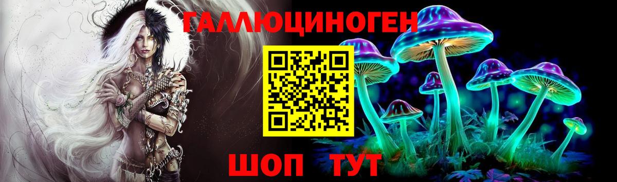 Соликамск  Псилоцибиновые грибы прущие грибы  Вход с VPN  Галлюциногенные грибы Psilocybe 